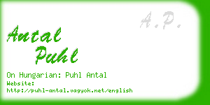 antal puhl business card